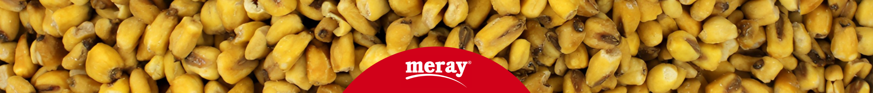 meray Banner mit gerösteten Maiskernen
